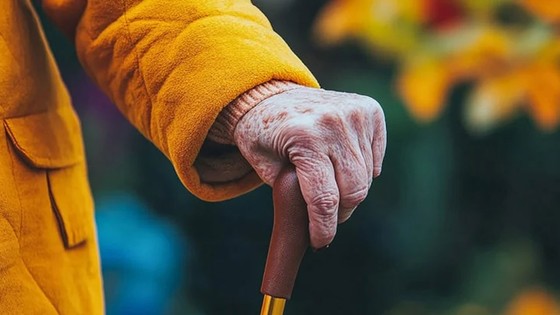 SGK açıkladı! Bu şartları sağlayanlar erken emekli olacak