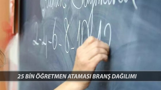 25.000 Öğretmen Ataması Branş Dağılımı 2025 | MEB Öğretmen Atama En Fazla Hangi Branştan Alım Var?