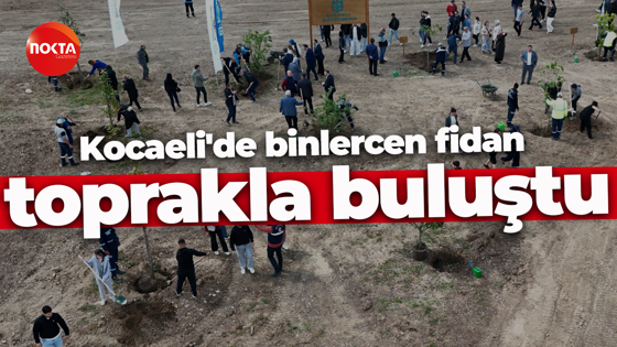 Kocaeli'de binlercen fidan toprakla buluştu