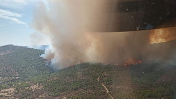 Foça'da orman yangını