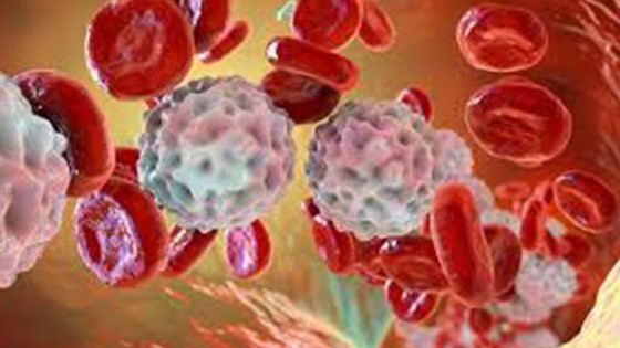 WBC Nedir? WBC Kaç Olursa Tehlikeli Olur?