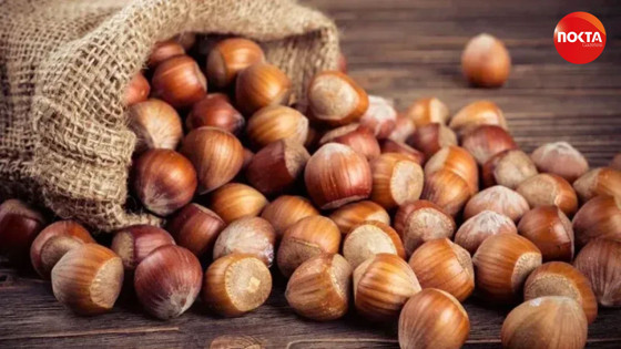 Fındık fiyatlarında son durum! İşte 9 Ağustos fındık fiyatları