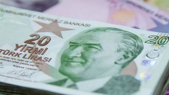 Yeni 20 TL'lik banknotlar bugün tedavüle girdi