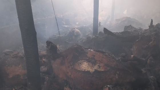 Erzurum'da ahır yangını! Onlarca hayvan telef oldu