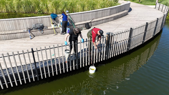 İzmit Millet Bahçesi’nde su göletine bilimsel çalışma