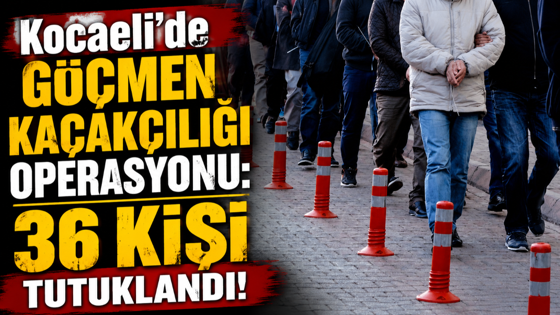 Kocaeli'de göçmen kaçakçılığı operasyonu: 36 kişi tutuklandı!