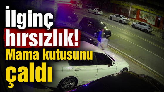 İlginç hırsızlık! Mama kutusunu çaldı