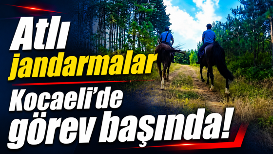 Atlı jandarmalar Kocaeli’de görev başında!