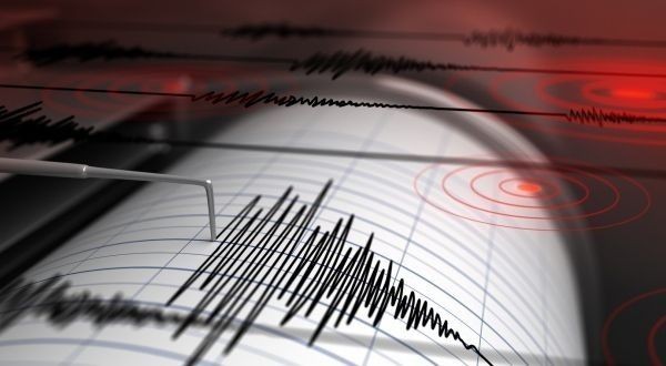 7,1 Büyüklüğünde Deprem: Tsunami Alarmı Verildi - Resim: 6