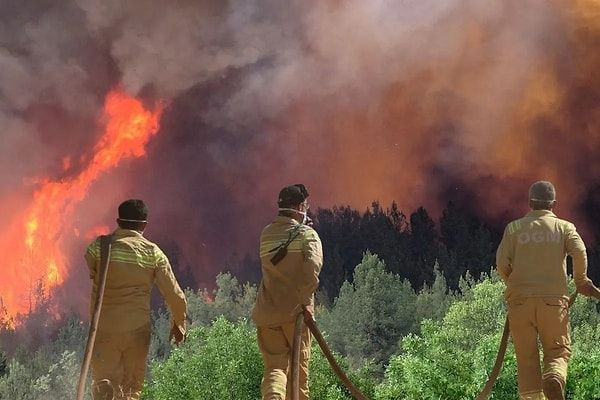 Şehit düşen orman işçisinin mesajı kahretti - Resim: 7