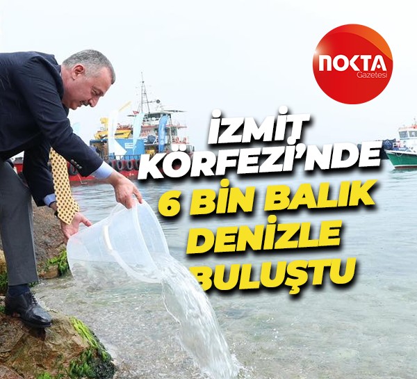 İzmit Körfezi’nde 6 bin balık denizle buluştu