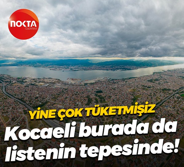 Yine çok tüketmişiz… Kocaeli burada da listenin tepesinde!