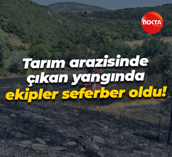Tarım arazisinde çıkan yangında ekipler seferber oldu!