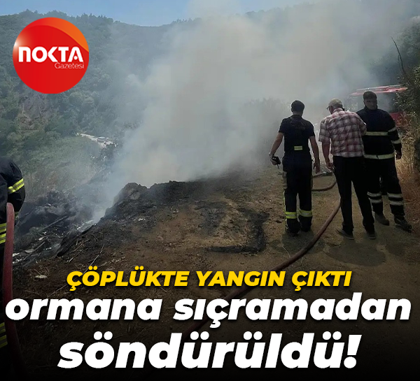Çöplükte yangın çıktı, ormana sıçramadan söndürüldü!
