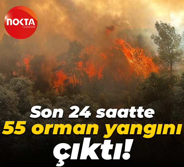 Son 24 saatte 55 orman yangını çıktı
