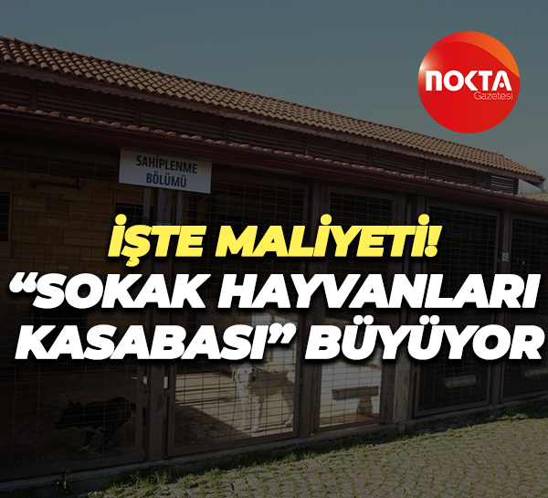 İşte maliyeti! “Sokak Hayvanları Kasabası” büyüyor