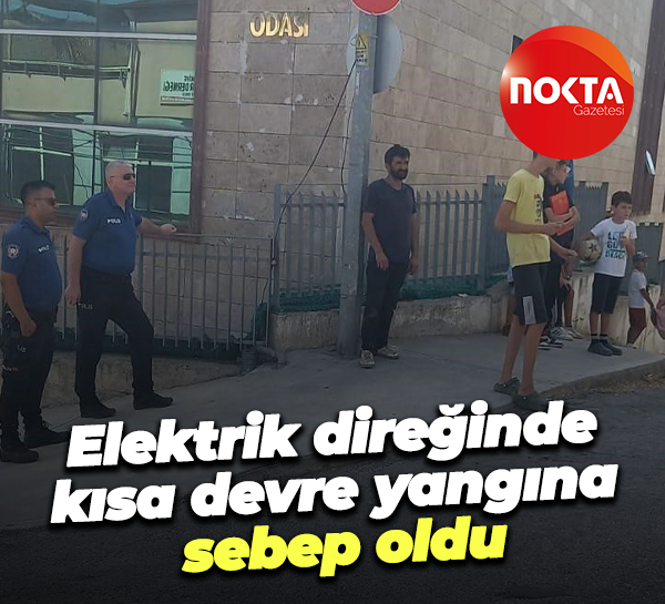 Elektrik direğinde kısa devre yangına sebep oldu
