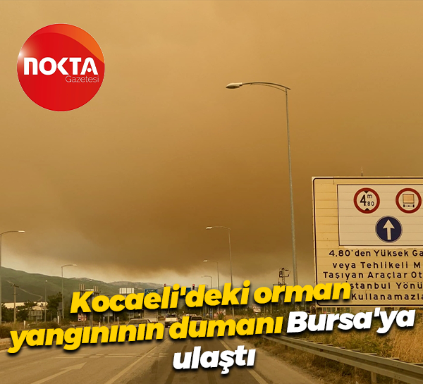 Kocaeli'deki orman yangınının dumanı Bursa'ya ulaştı