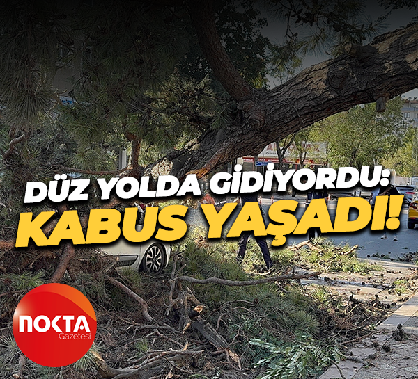 Düz yolda gidiyordu: Kabus yaşadı!