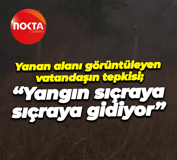 Yanan alanı görüntüleyen vatandaşın tepkisi; “Yangın sıçraya sıçraya gidiyor”