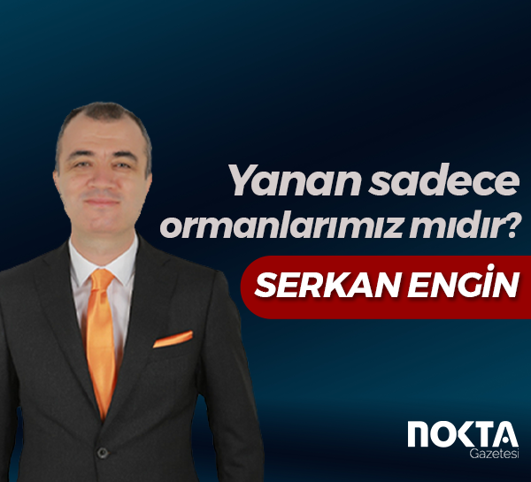 Yanan sadece ormanlarımız mıdır?