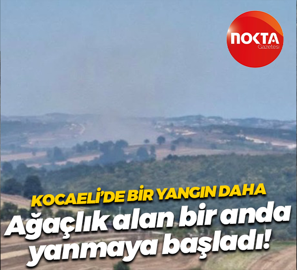Kocaeli’de bir yangın daha; Ağaçlık alan bir anda yanmaya başladı!