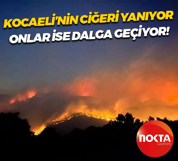 Kocaeli’nin ciğeri yanıyor, onlar ise dalga geçiyor!