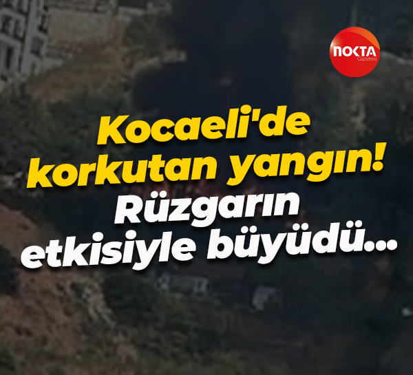 Kocaeli'de korkutan yangın! Rüzgarın etkisiyle büyüdü...