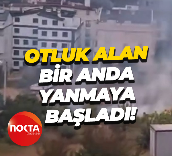 Otluk alan bir anda yanmaya başladı!