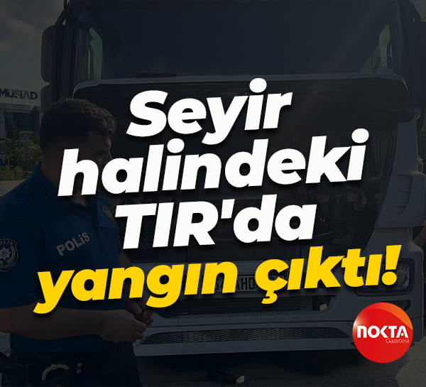 Seyir halindeki TIR'da yangın çıktı!