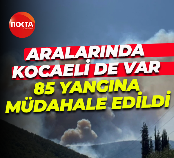 Aralarında Kocaeli de var... Hafta sonu 85 yangına müdahale edildi