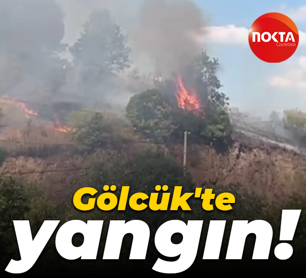 Gölcük'te yangın!