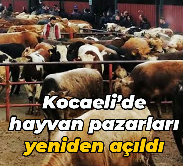 Kocaeli’de hayvan pazarları yeniden açıldı