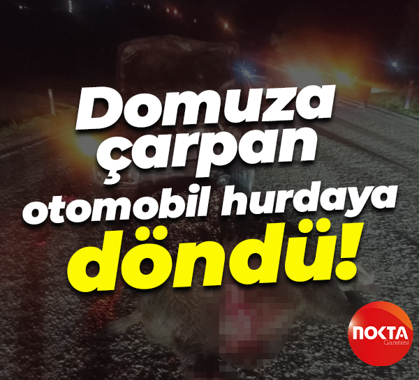Domuza çarpan otomobil hurdaya döndü!