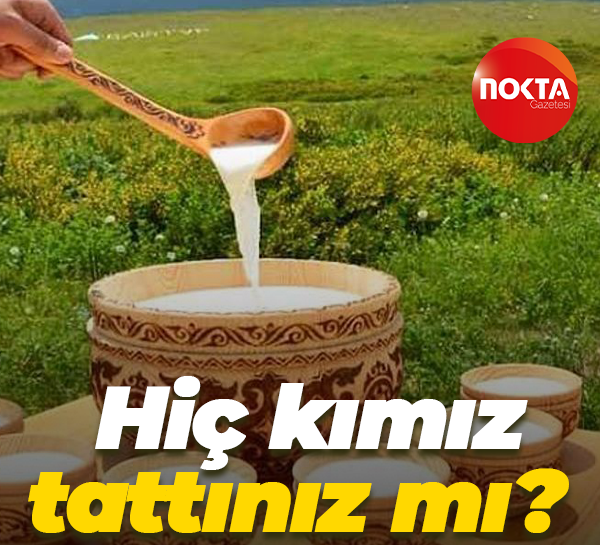 Zafer Partisi Başiskele Kocaelilileri kımız içmeye bekliyor!