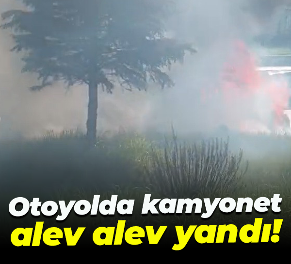 Otoyolda kamyonet alev alev yandı!