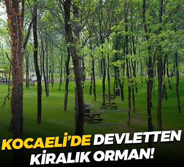 Kocaeli’de devletten kiralık orman!