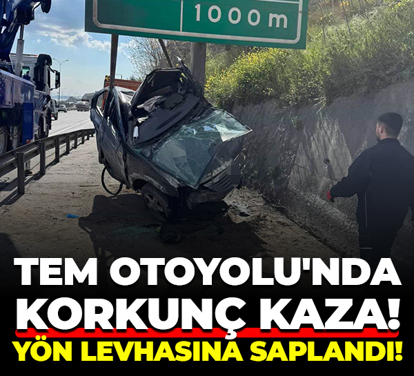 TEM Otoyolu'nda korkunç kaza! Yön levhasına saplandı!