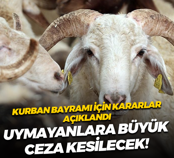Kurban Bayramı için kararlar açıklandı; Uymayanlara büyük ceza kesilecek!