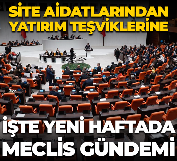 Site aidatlarından yatırım teşviklerine... İşte yeni haftada Meclis gündemi