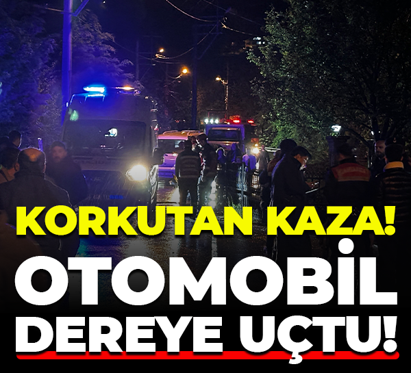 Korkutan kaza! Otomobil dereye uçtu!