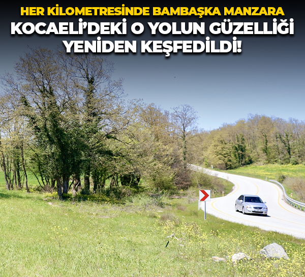 Her kilometresinde bambaşka manzara; Kocaeli’deki o yolun güzelliği yeniden keşfedildi!