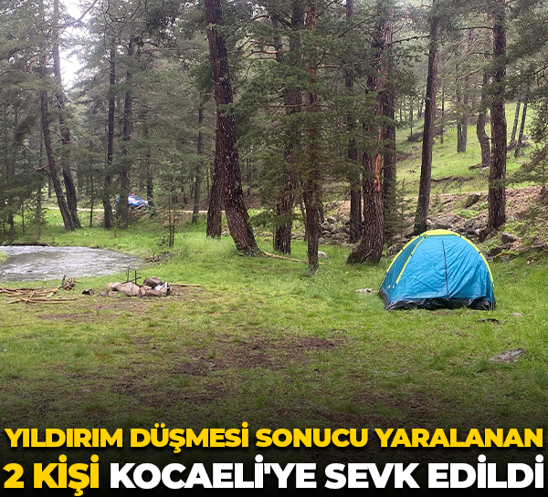 Yıldırım düşmesi sonucu yaralanan 2 kişi Kocaeli'ye sevk edildi