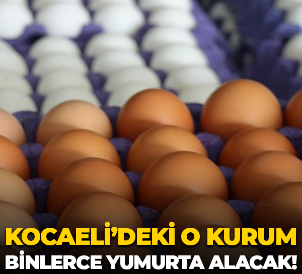 Kocaeli’deki o kurum binlerce yumurta alacak!