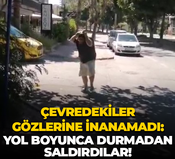 Çevredekiler gözlerine inanamadı: Yol boyunca durmadan saldırdılar!