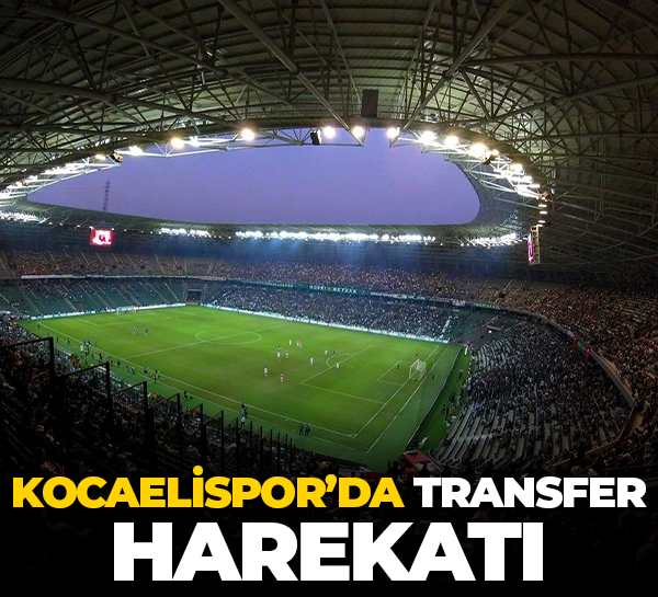 Kocaelispor’da transfer harekatı