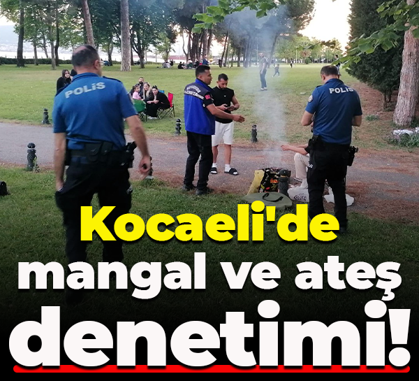 Kocaeli'de mangal ve ateş denetimi!