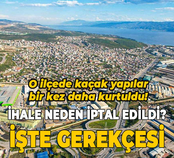 Dilovası’nda kaçak yapılar bir kez daha kurtuldu! İşte ihalenin iptal gerekçesi
