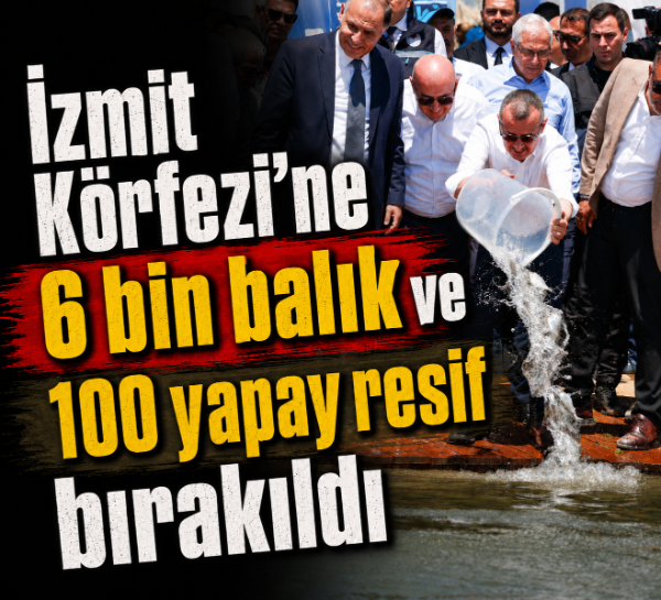 İzmit Körfezi'ne 6 bin balık ve 100 yapay resif bırakıldı