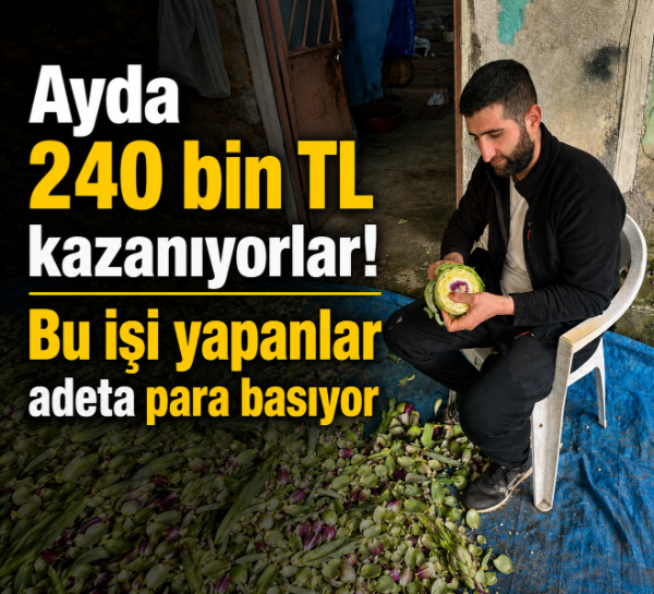 Ayda 240 bin TL kazanıyorlar! Bu işi yapanlar adeta para basıyor